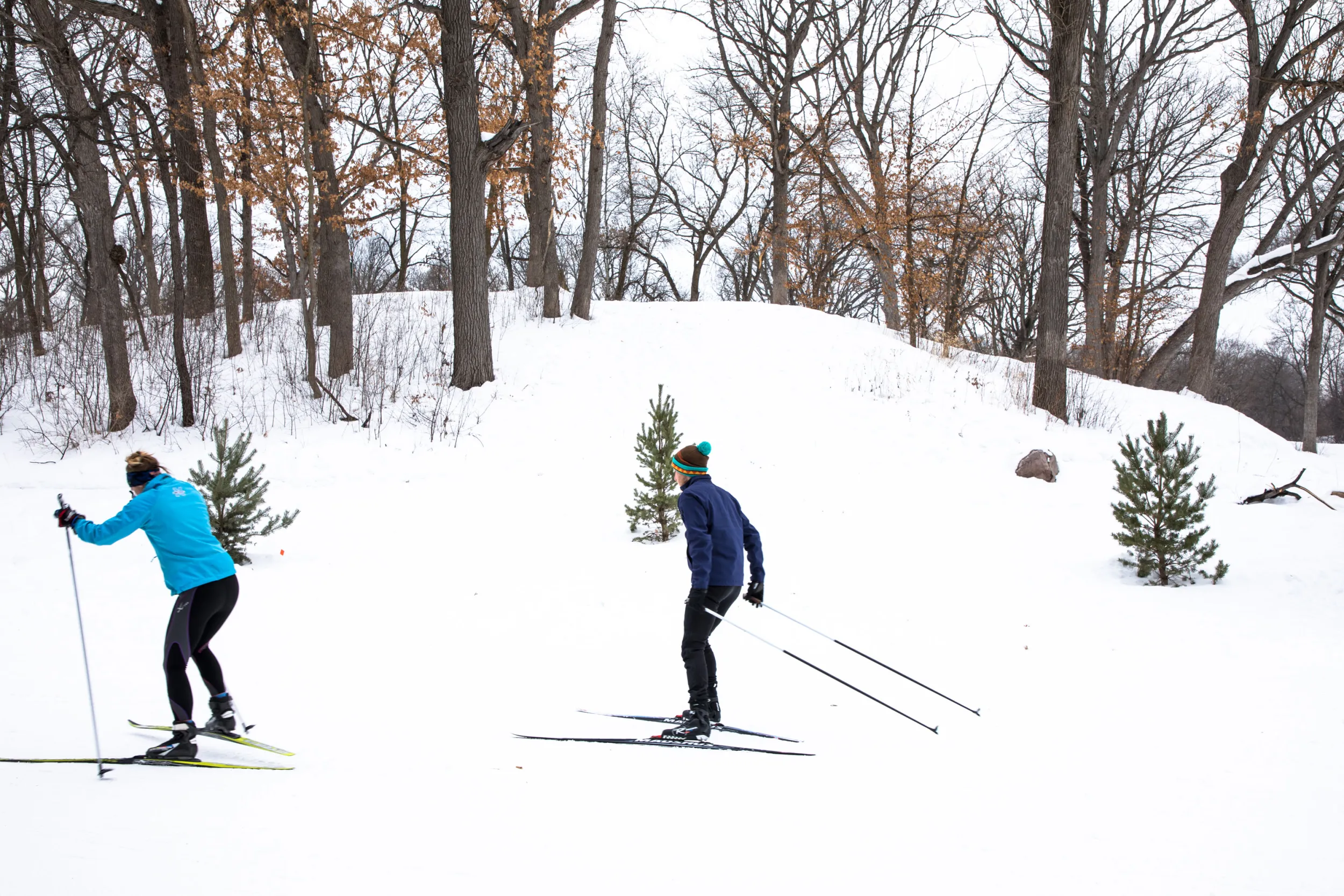Cross-country skiers at Theodore Wirth Park