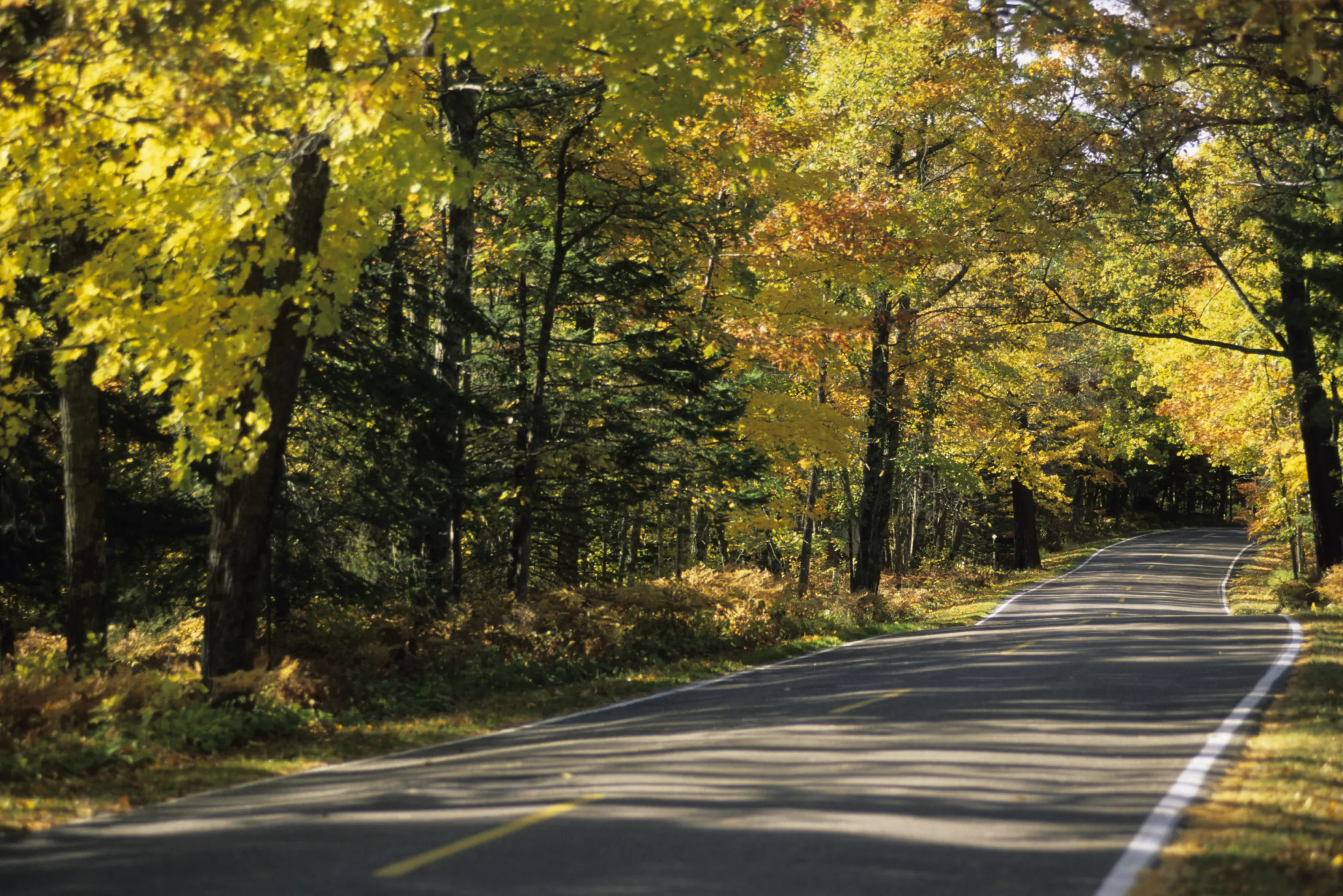 Scenic road in Maplewood State Park