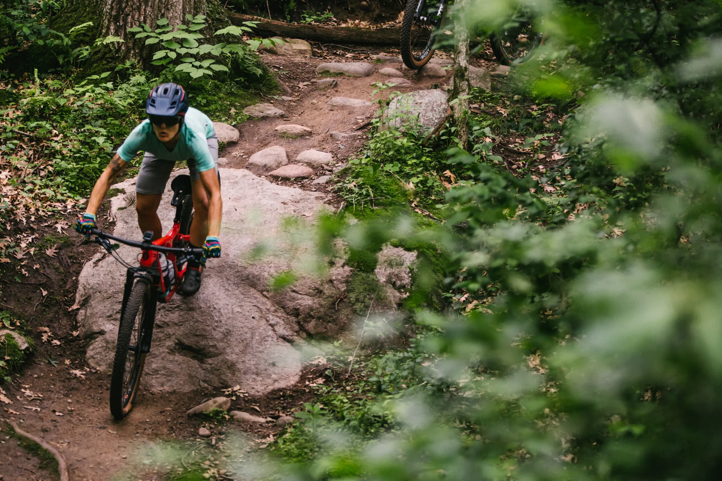 A rider goes down the Lebanon Hills Mountain Bike Trail