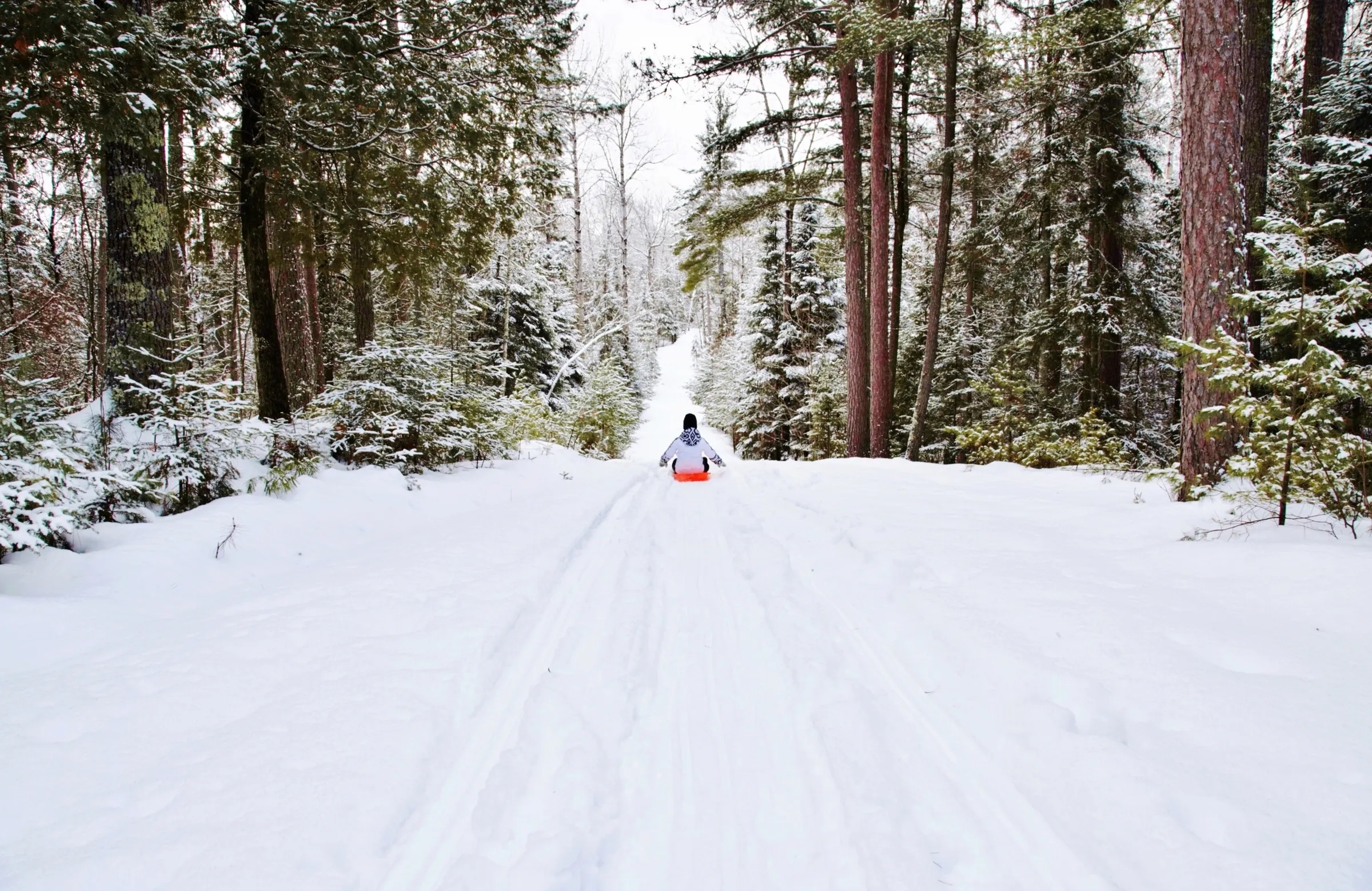 Sledding near Elbow Lake