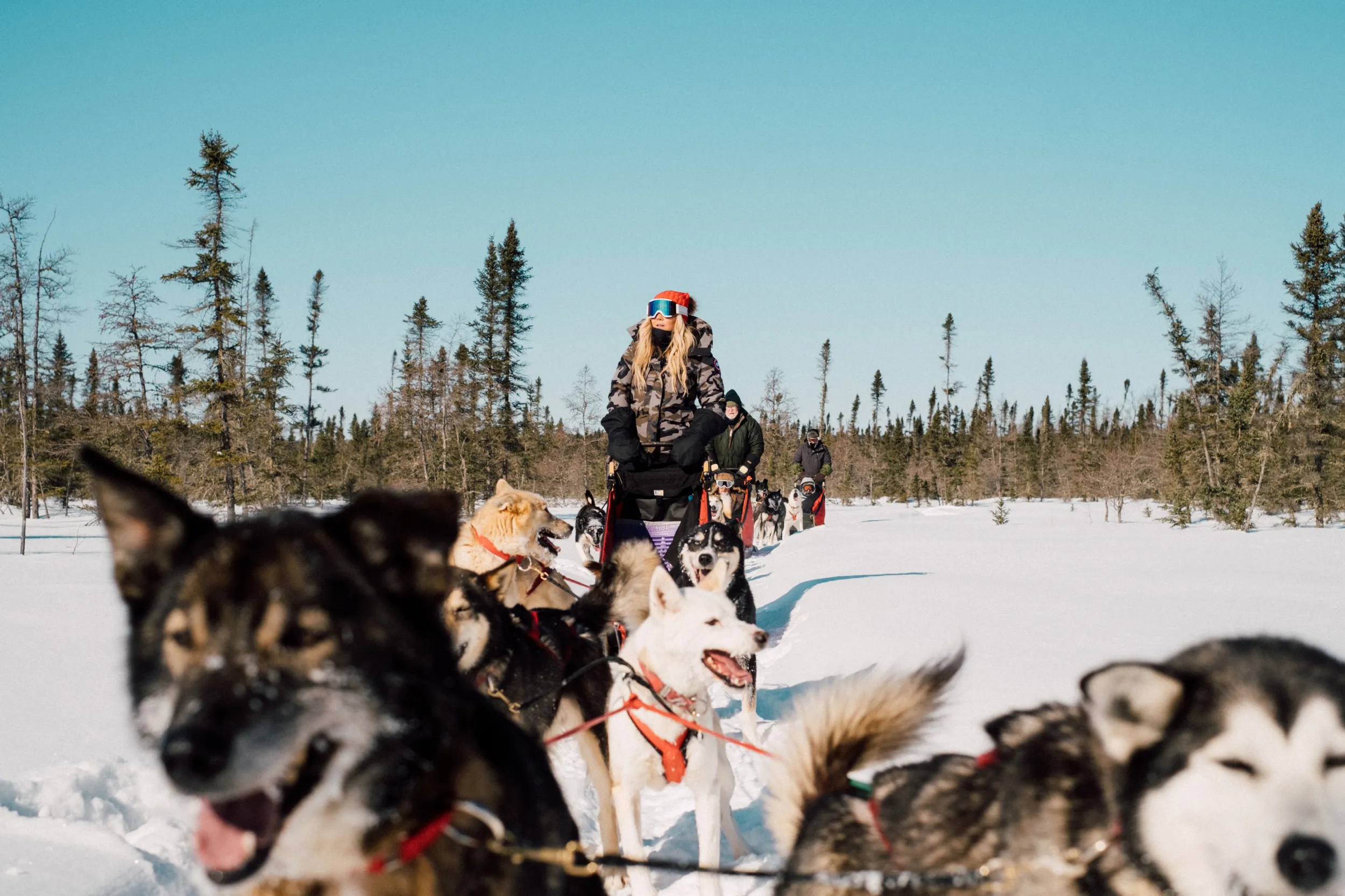 Carly Aplin riding a dog sled