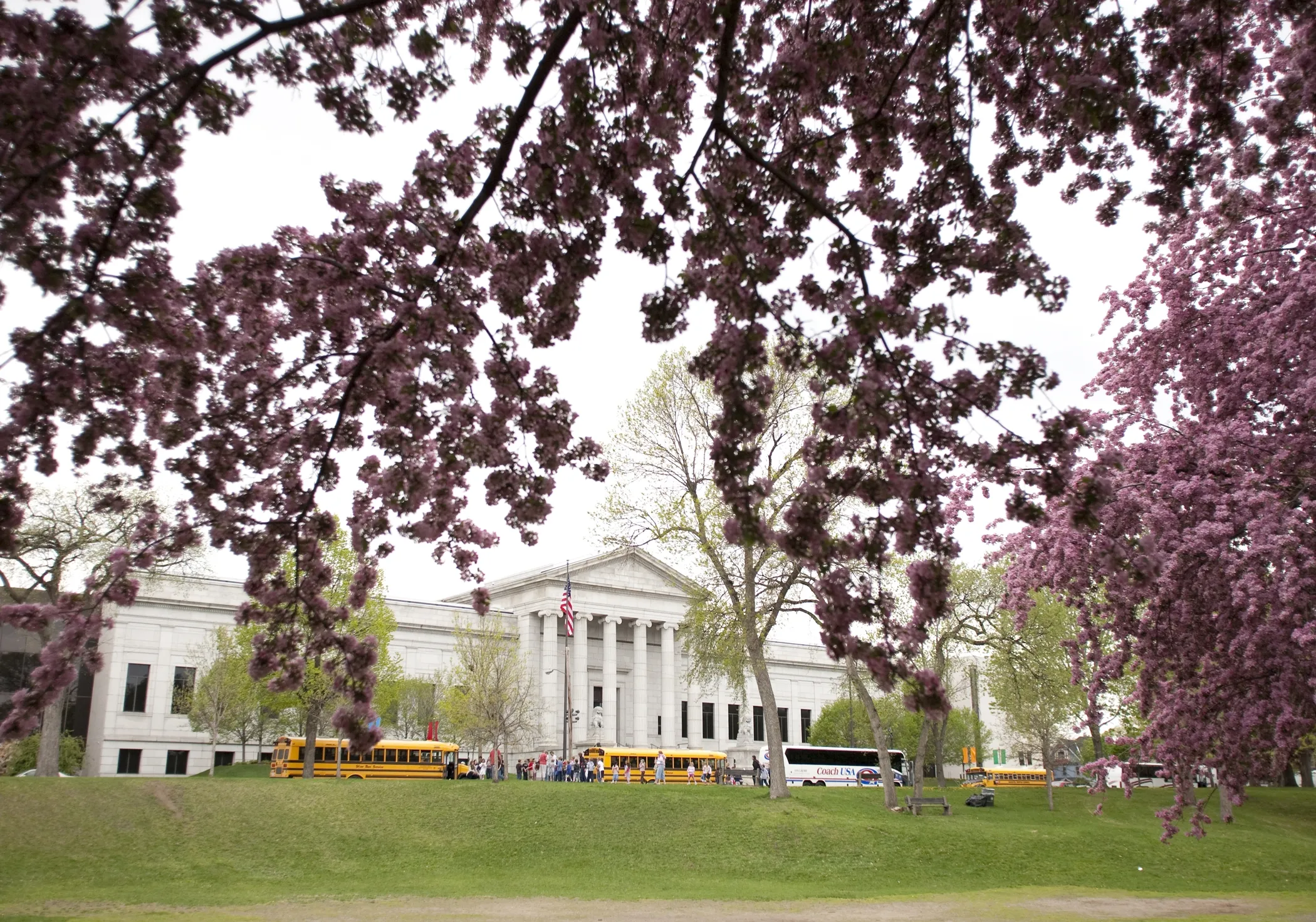Minneapolis Institute of Art exterior in the springtime, framed by a ring of pink cherry blossoms