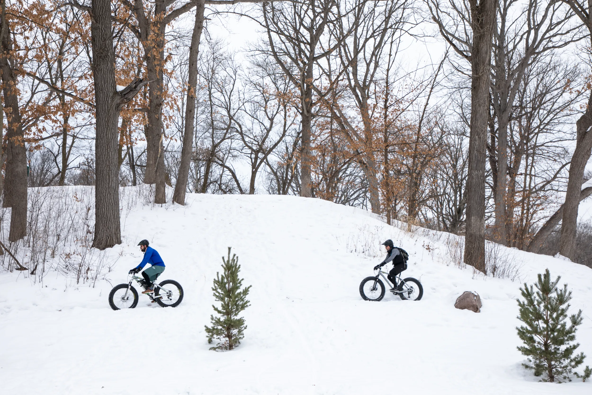 2 Fat Bikers in Theo Wirth Park, Minneapolis