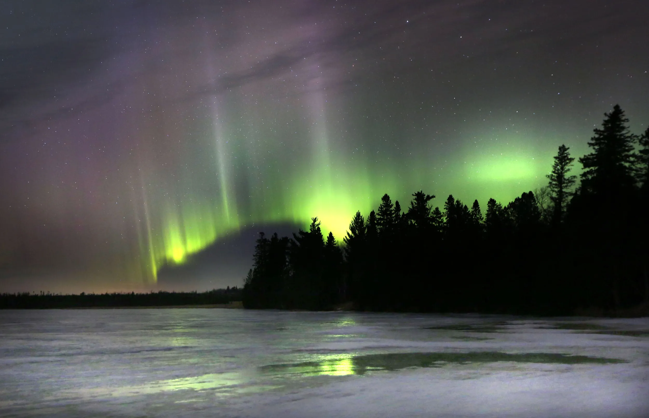 Aurora Borealias