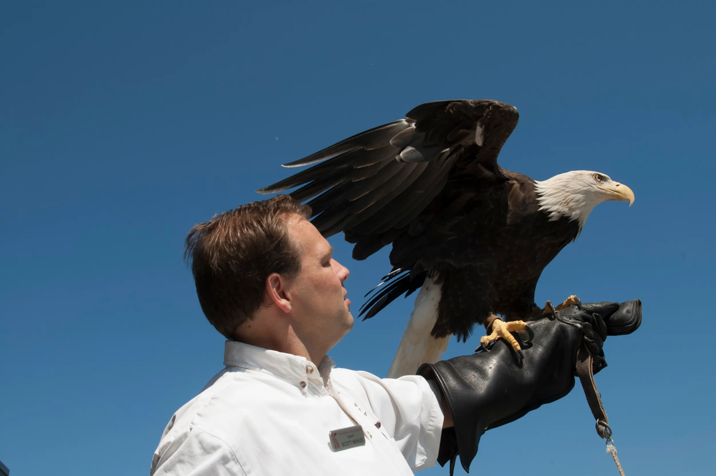 National Eagle Center, Wabasha