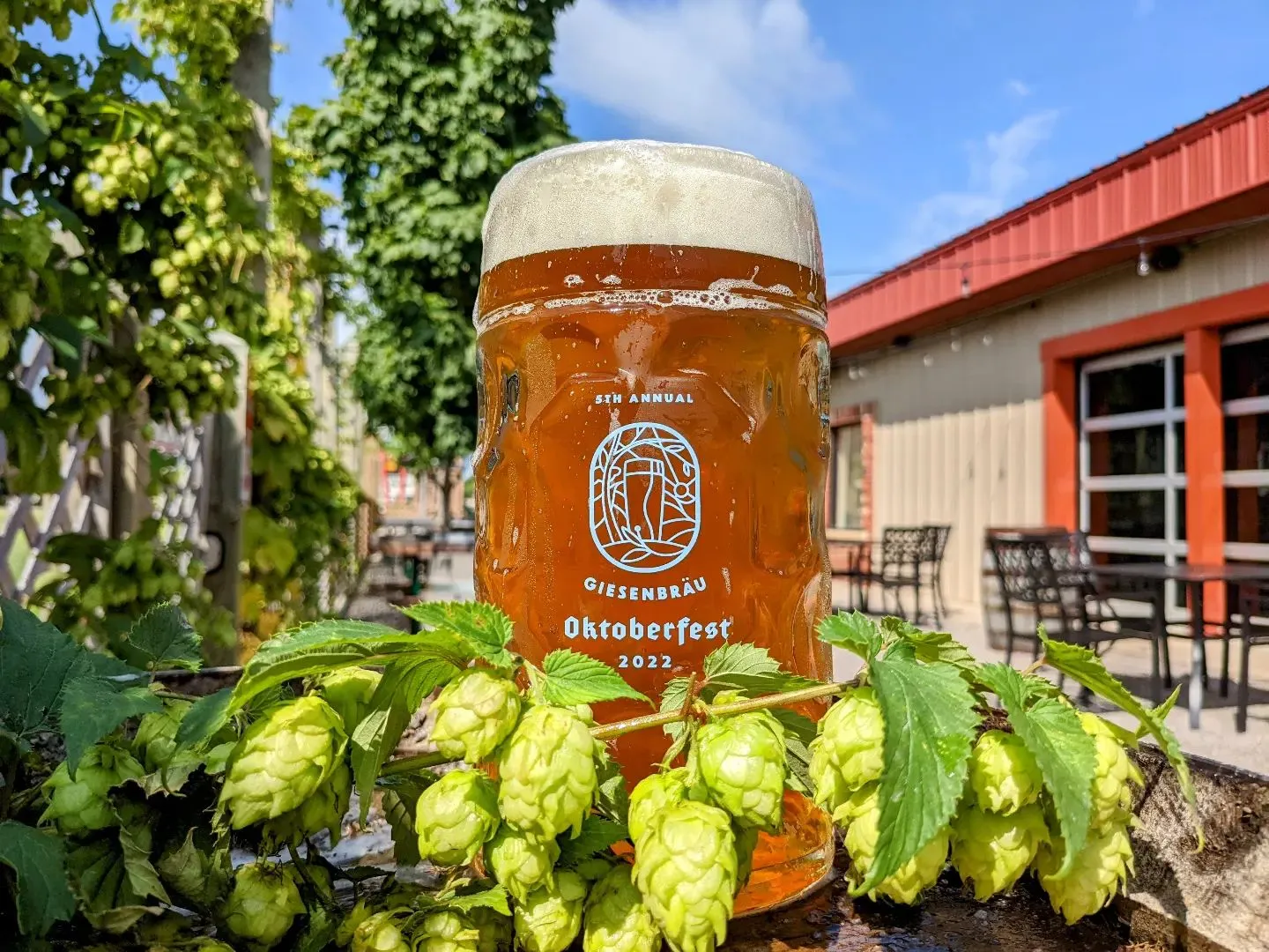 Giesenbrau Bier Co Oktoberfest