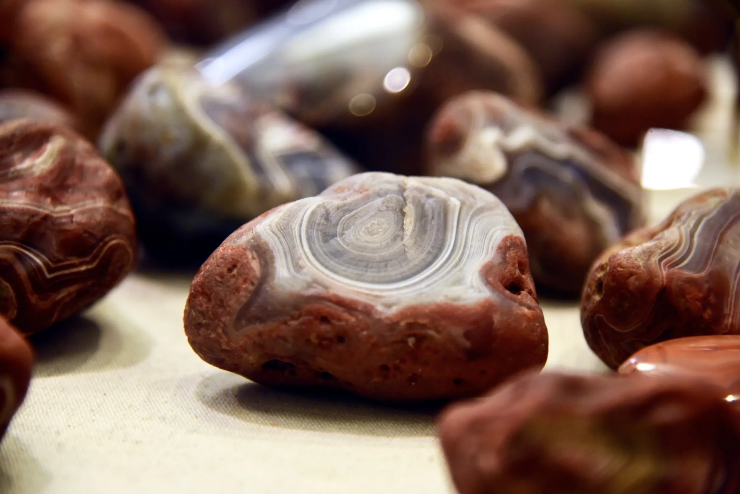 Rocks laid out on table in Moose Lake State Park, Agate Center