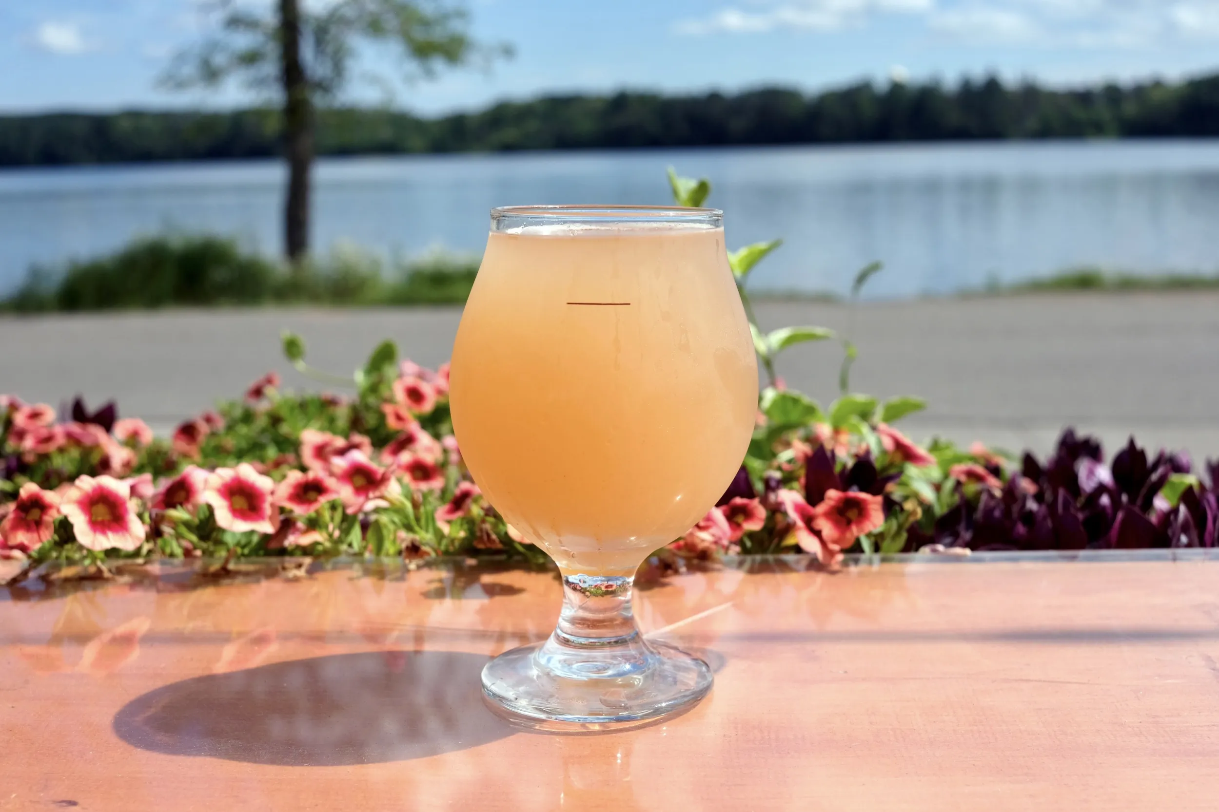 A pint on the patio at Moose Lake Brewing Company 