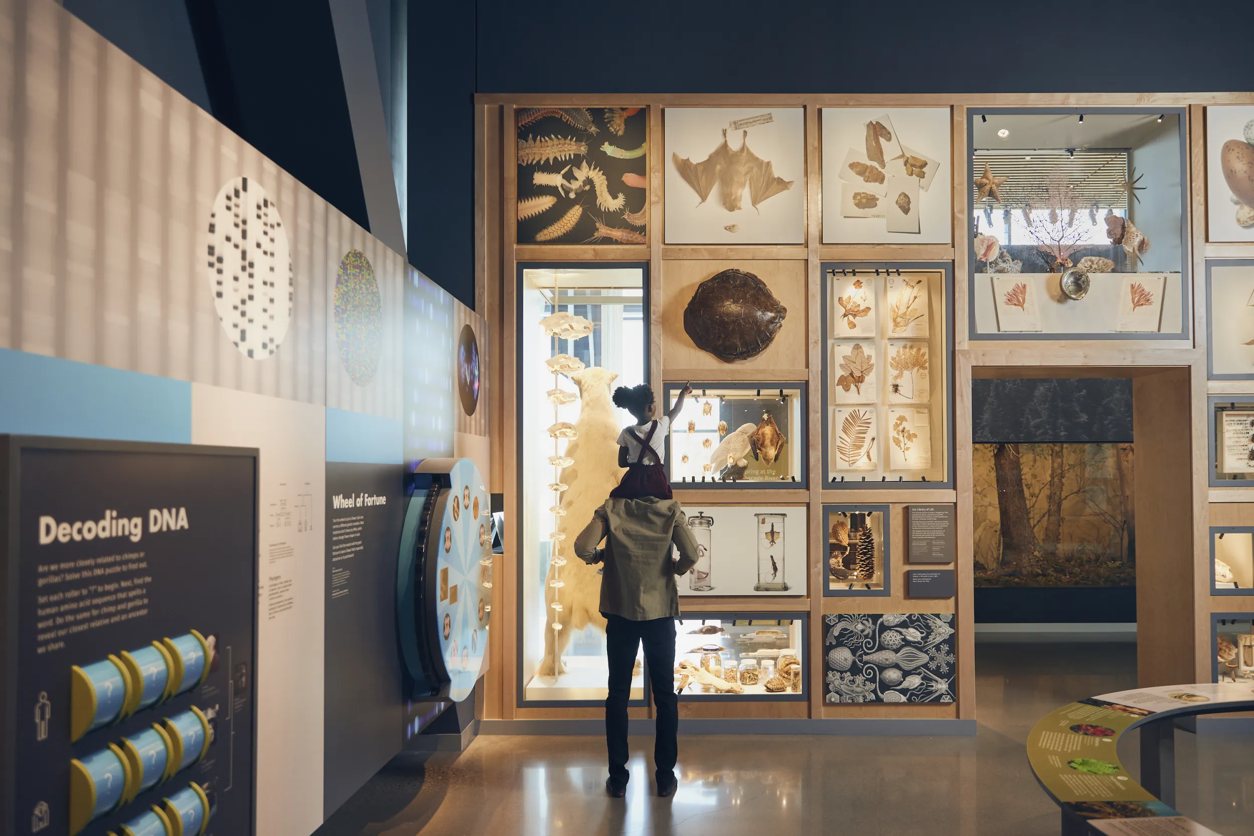 A father and daughter at the Bell Museum in St. Paul