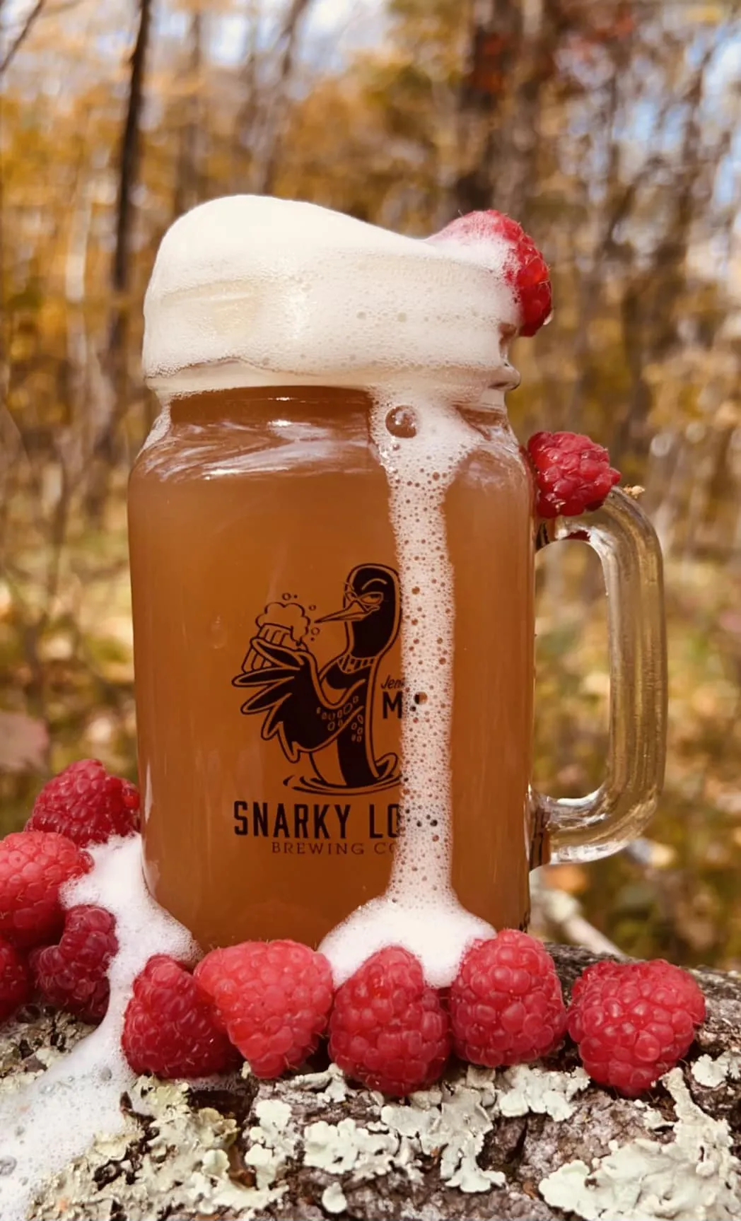 Snarky Loon in Jenkins