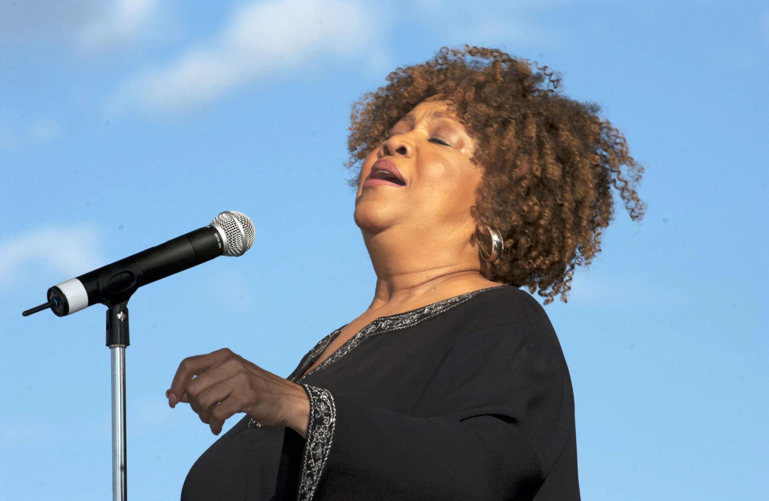 Bayfront Blues Festival in Duluth