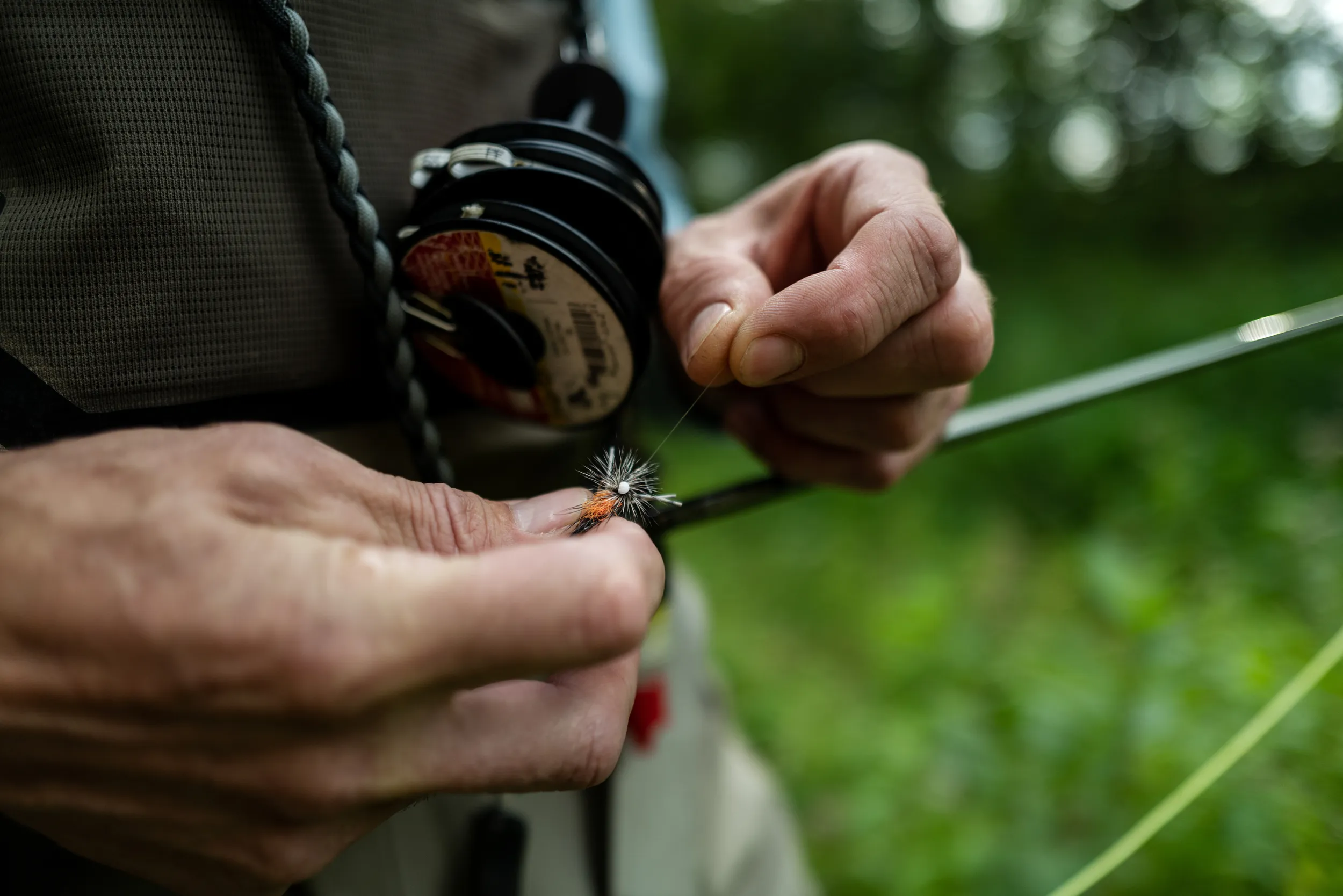 Fly fishing on Root River