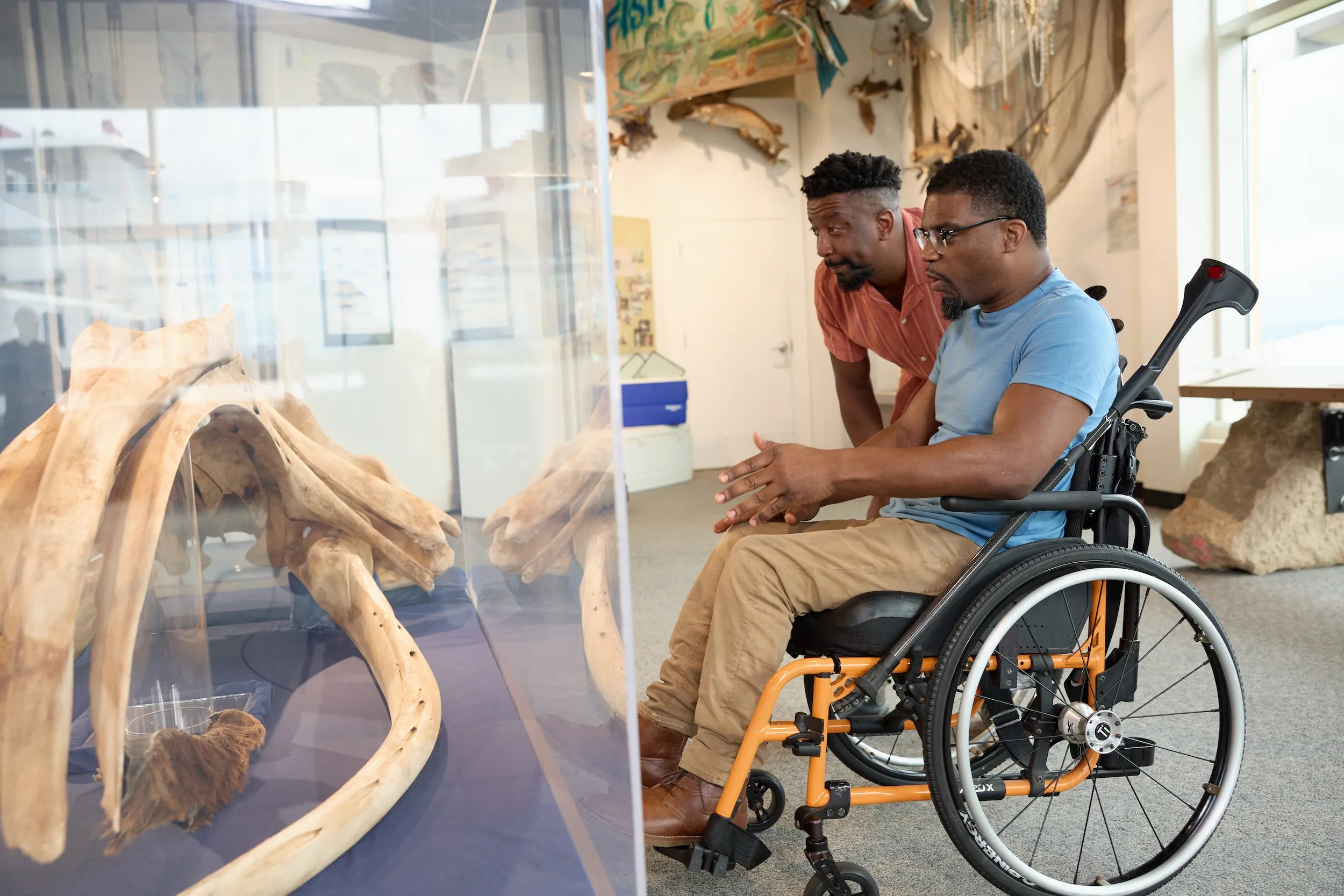 A man in a wheelchair and his friend look at a dinosaur exhibit at the Science Museum in St. Paul