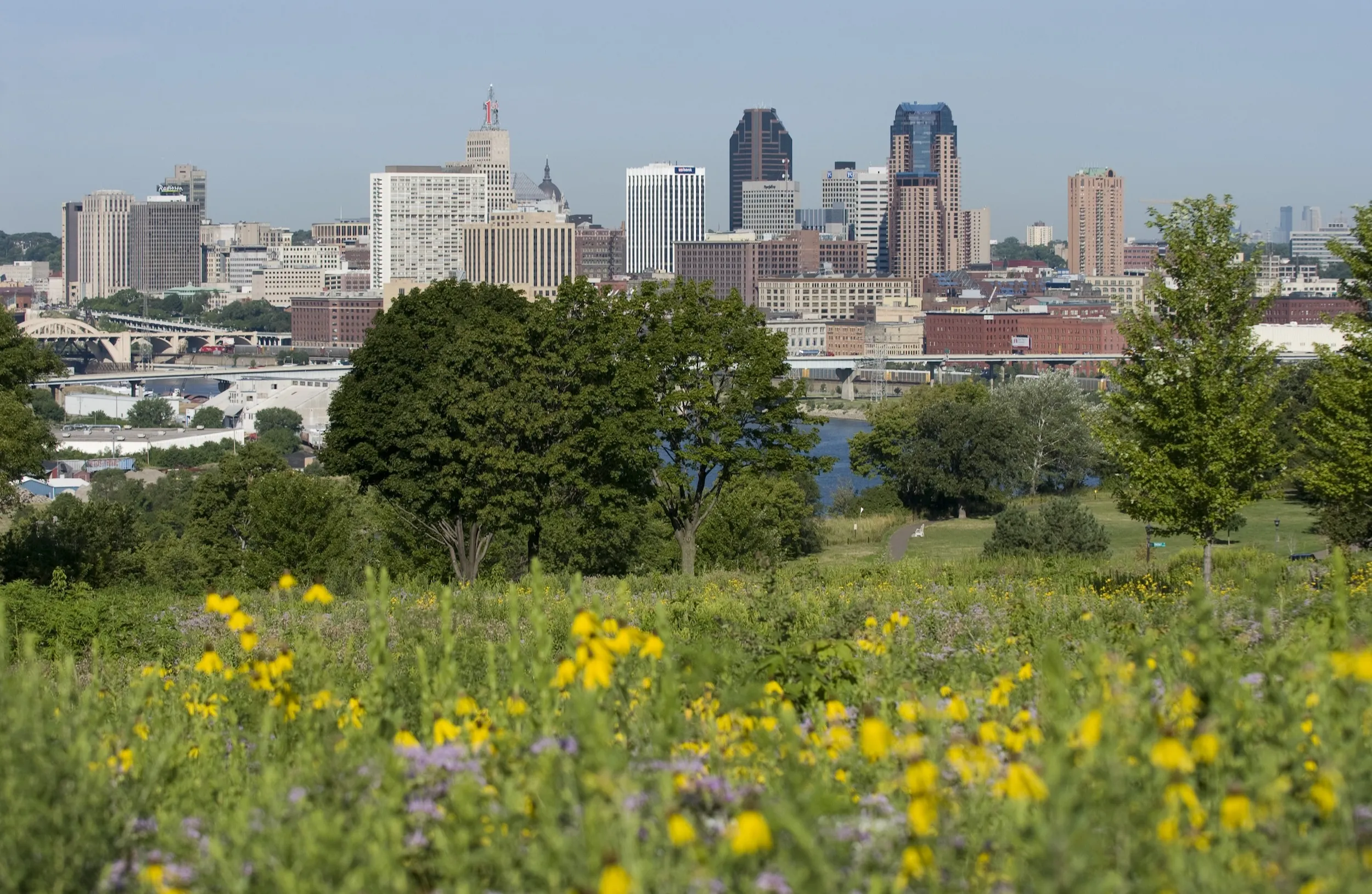 The St. Paul skyline at Indian Mounds Park