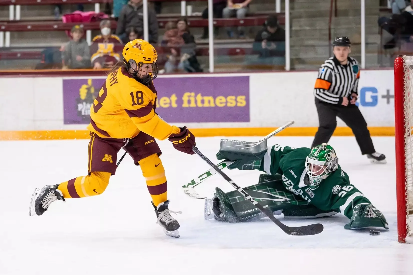 University of Minnesota women's hockey team