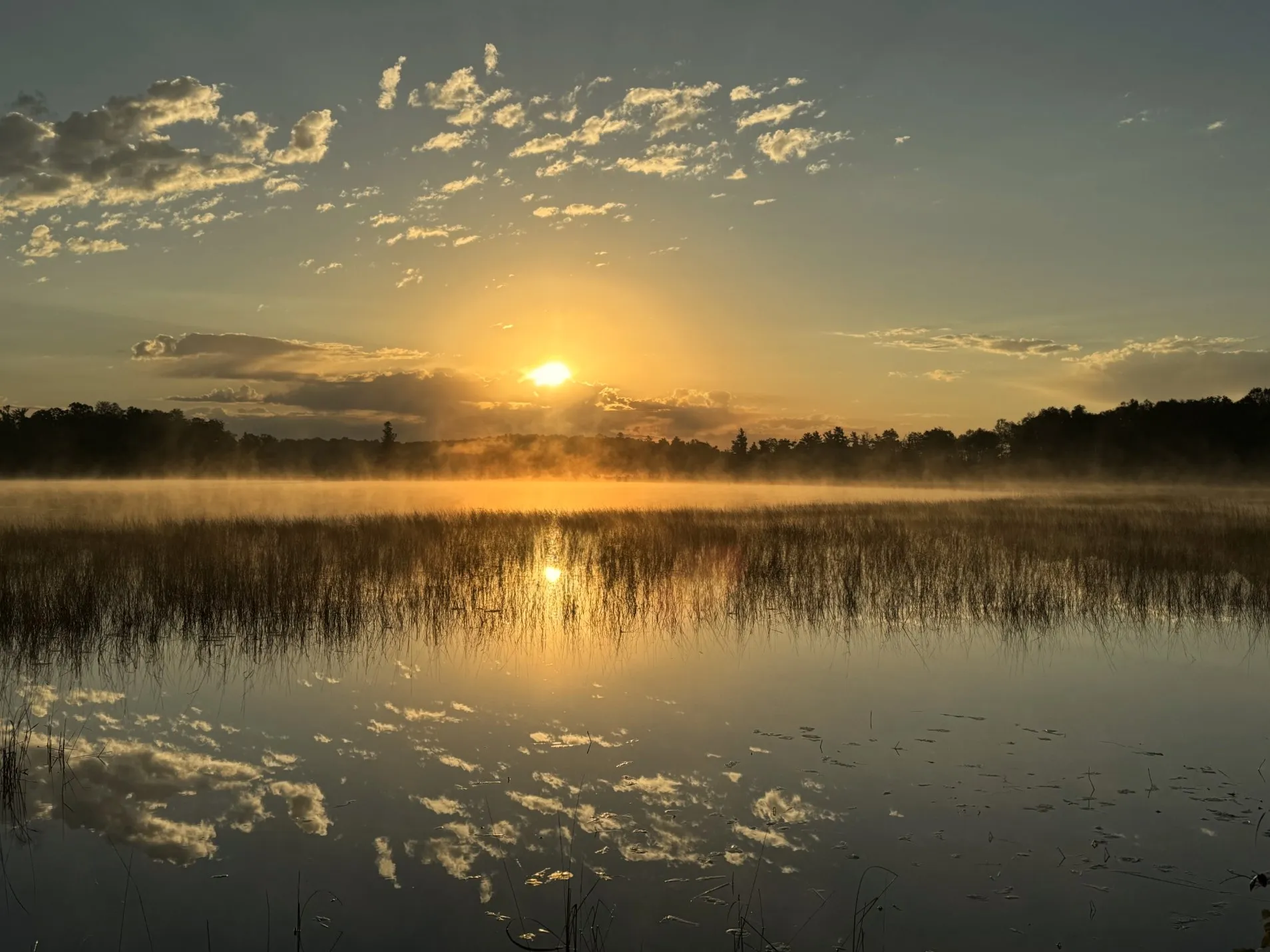 Tamarac National Wildlife Refuge