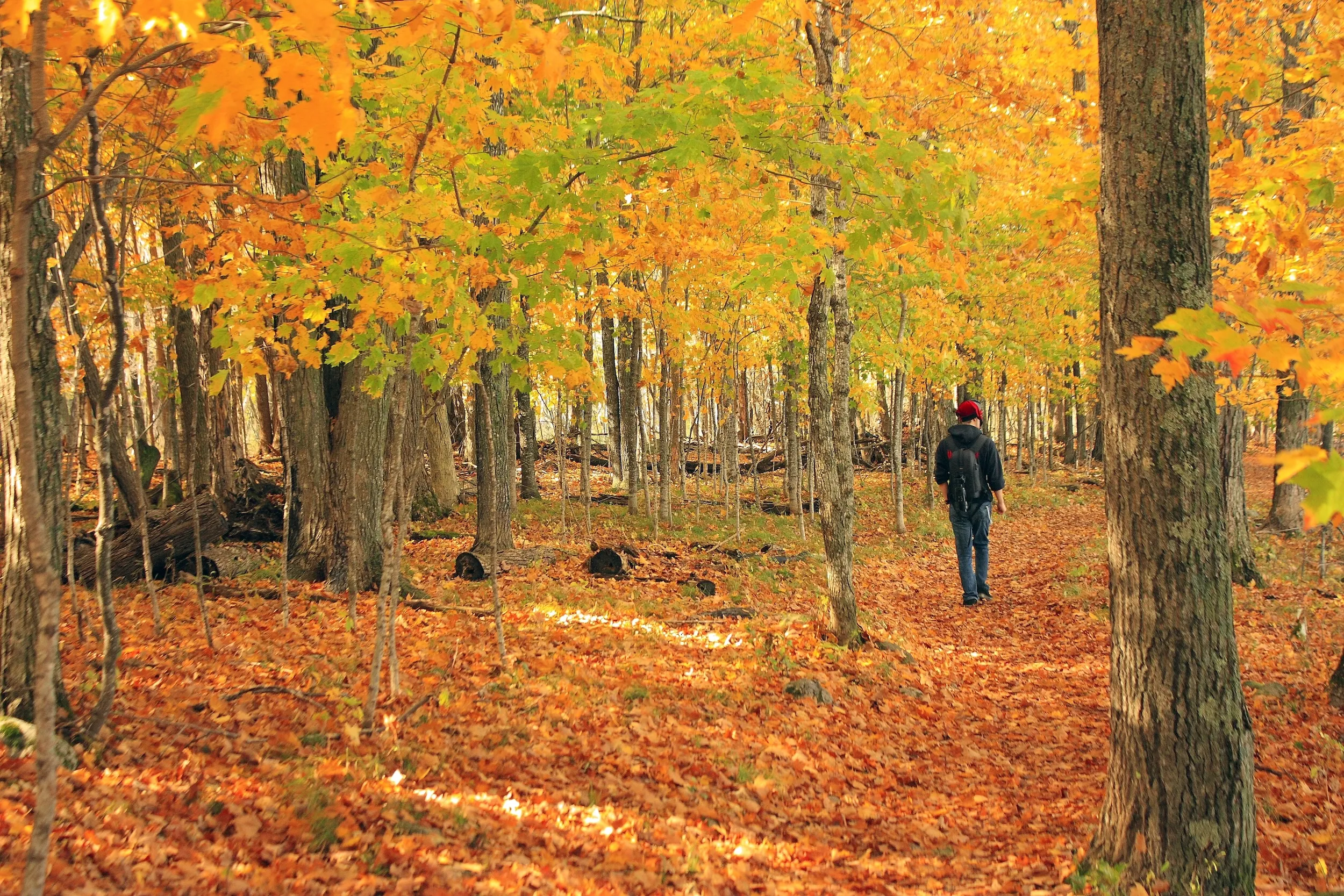 Fall hike Father Hennepin State Park