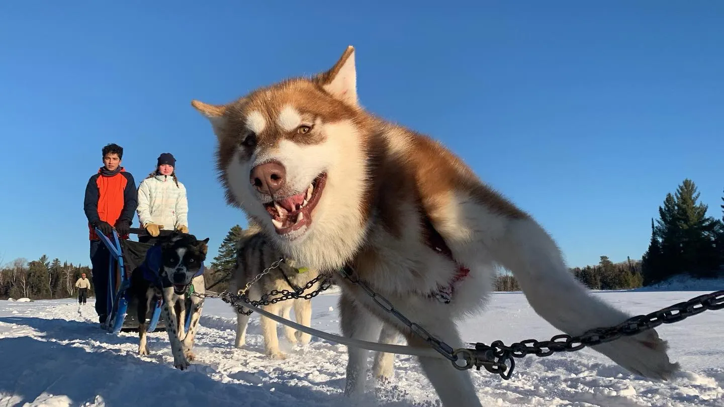 Wintergreen Dogsled Lodge