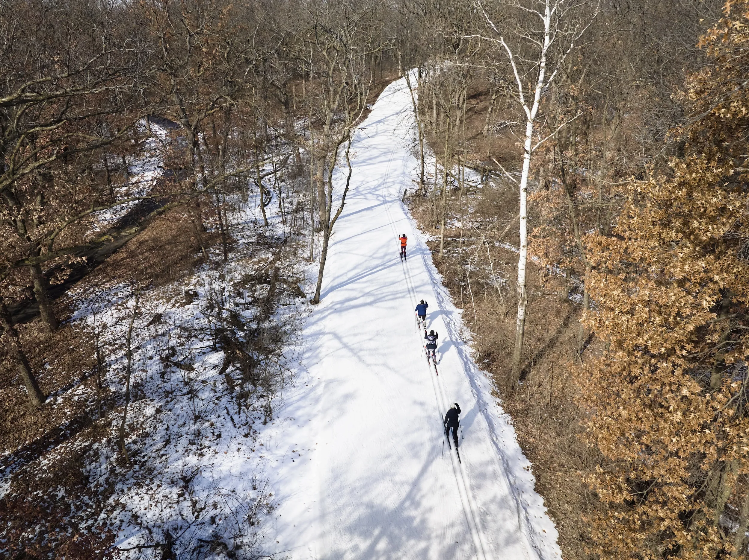 Cross-country skiing at Theodore Wirth Regional Park