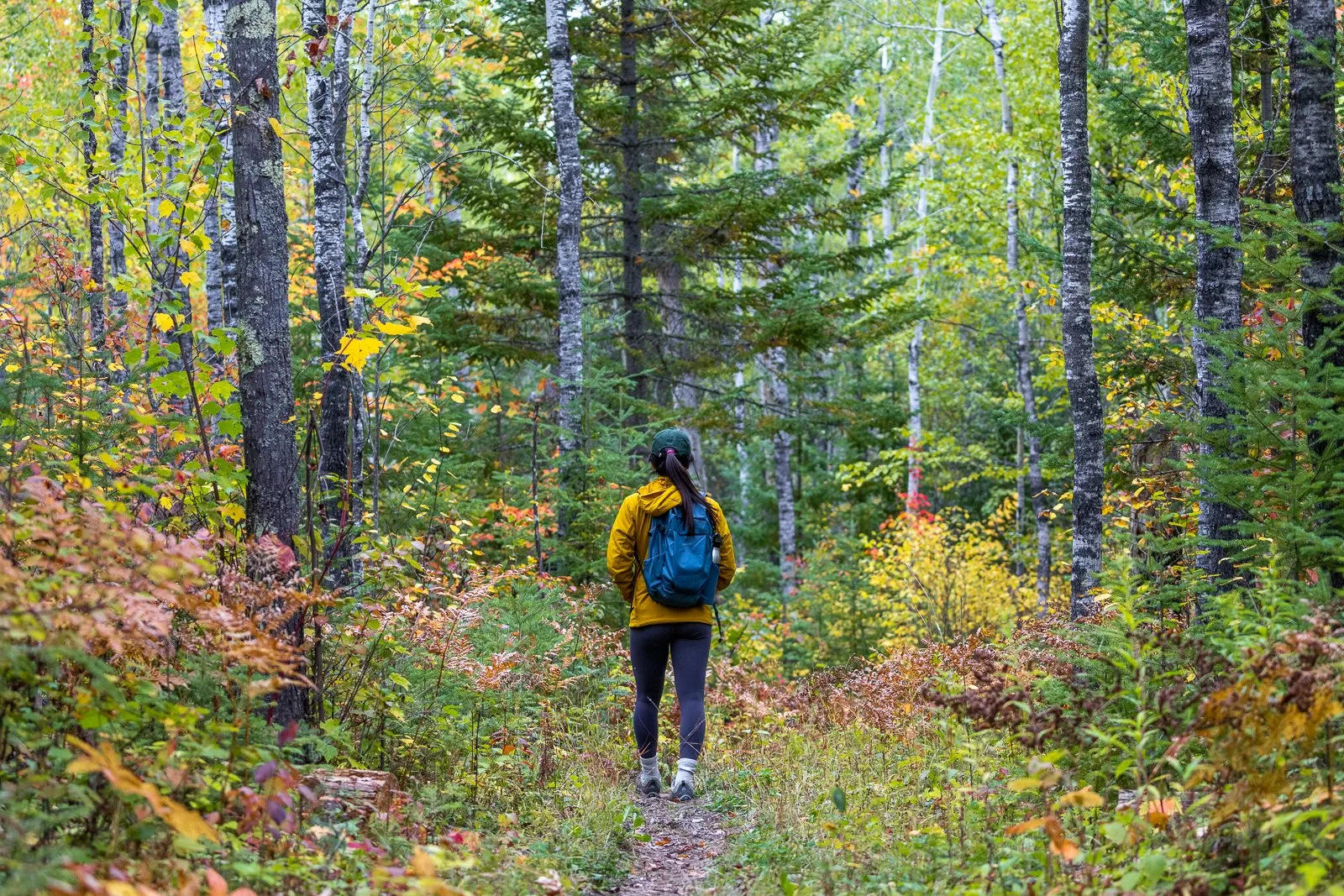 Hiking amongst fall colors in Voyageurs National Park