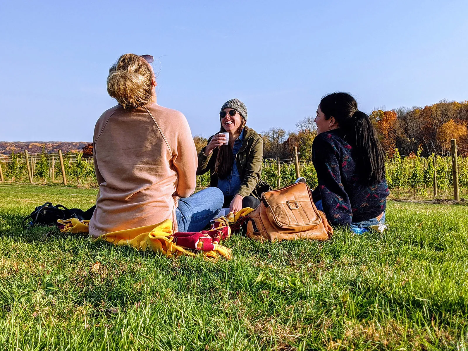 A group of friends sit in the grass at Rustic Roots Winery