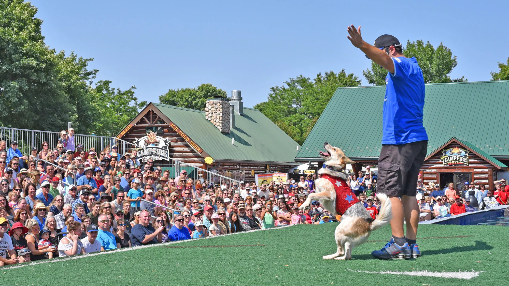 The All-Star Stunt Dogs Splash show at the Minnesota State Fair