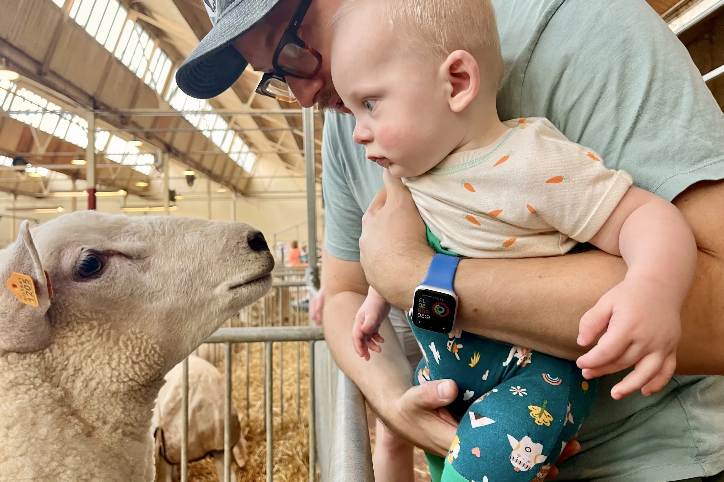 The Sheep &amp; Poultry Barn at the Minnesota State Fair