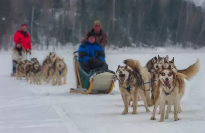 Dos equipos de trineos tirados por perros cerca de Ely, Minnesota