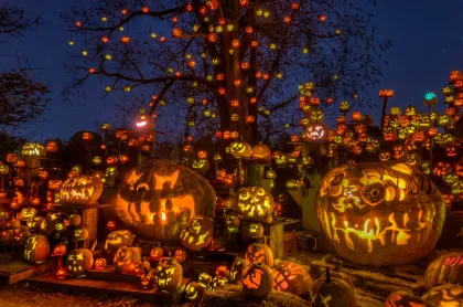 More than 5,000 carved glowing pumpkins at the Minnesota Zoo Jack-O-Lantern Spectacular