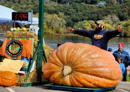Guess the weight of the biggest pumpkin at the Stillwater Harvest Festival