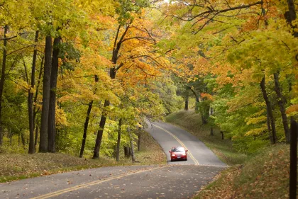 Fall drive on the Scenic Byway in Bemidji State Park