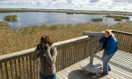 Birding Agassiz National Wildlife Refuge