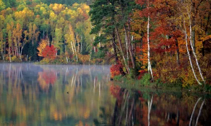 Chippewa National Forest fall colors