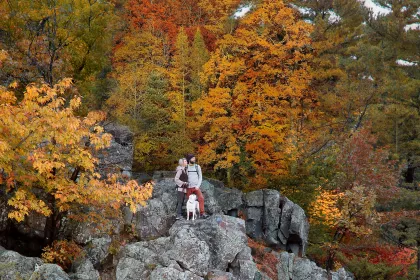 Couple and dog standing on cliff in the fall