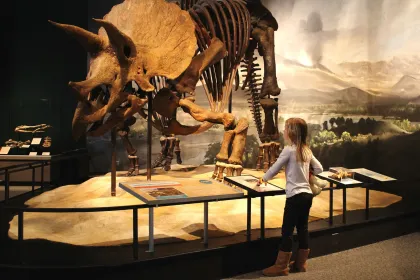 Dinosaur Science Museum of Minnesota