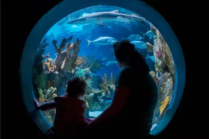 Discovery Bay Minnesota Zoo