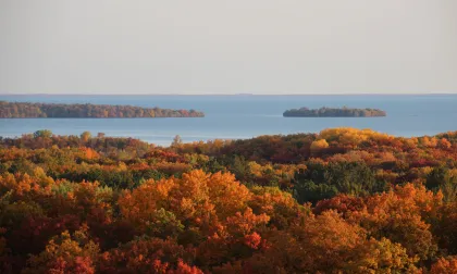 Fall trees from above Mille Lacs Kathio State Park