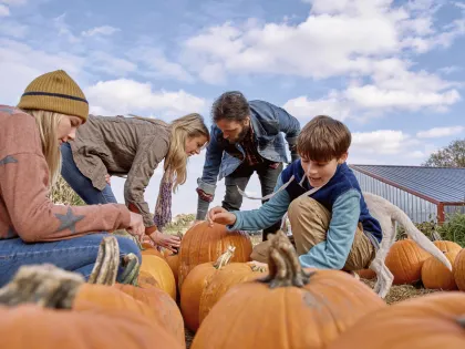 Family picking pumpkins together