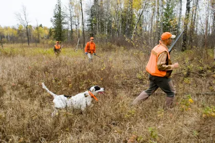 Hunters and dog in a field