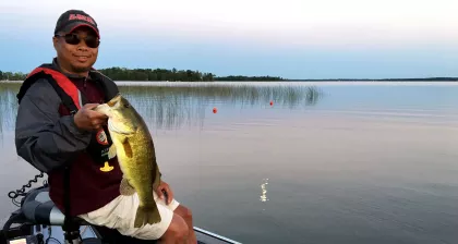 largemouth bass from pelican lake in crow wing county