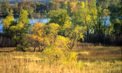 Minnesota River Lac Qui Parle Wildlife Refuge Fall