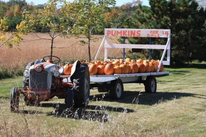Calabazas a la venta en un tractor