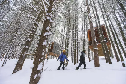 Pair of winter cabins at Whitetail Woods Regional Park