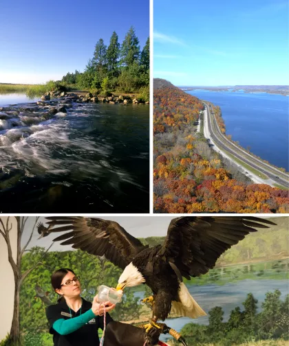 Een fotocollage van Lake Itasca, luchtfoto van Great River Road in Winona, en personeel met een Amerikaanse zeearend in het National Eagle Center in Wabasha