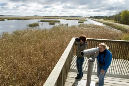 Agassiz National Wildlife Refuge women birding