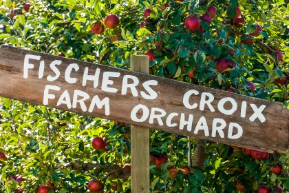 Finca de Manzanas Fishers Croix