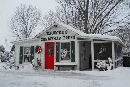 Kruegers Christmas Tree Farm in Lake Elmo
