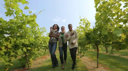 Women walk through vineyard