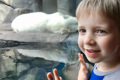Niño en el zoológico Como en la exhibición de osos polares