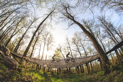 Two riders on a wooden wallride